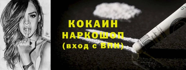гашик Алексин