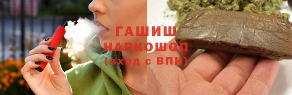 гашик Алексин