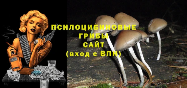 тгк Абдулино