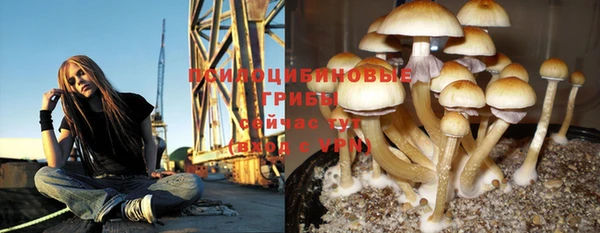 молекула духа Абинск