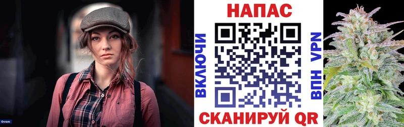 kraken ТОР  Сафоново  Бошки Шишки White Widow 
